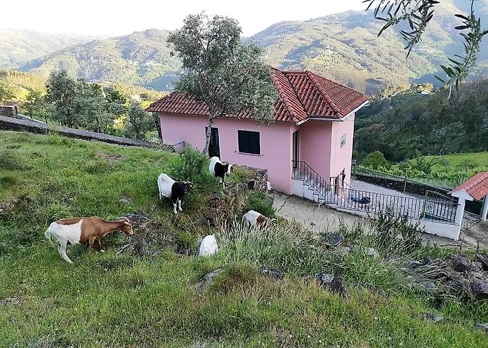 Ecorustics - Casa